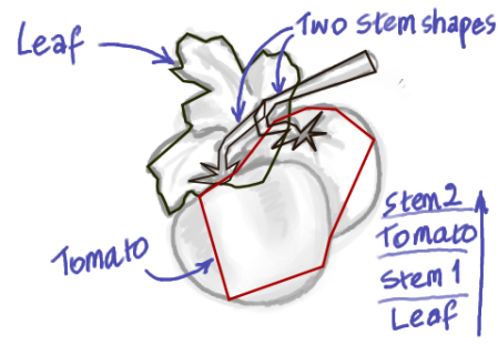 Inkscape Tutorials from Beginner to Advanced Illustrating-tomato-0